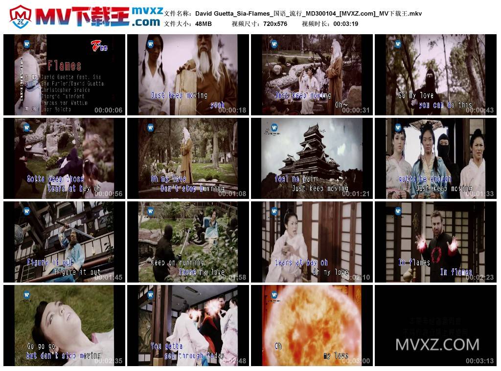 David Guetta_Sia-Flames_国语_流行_MD300104